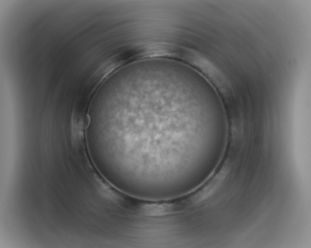X0000114531185200910191316