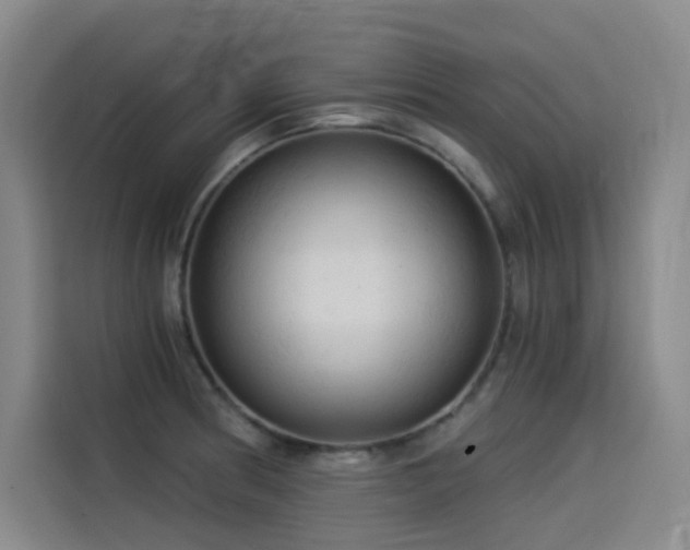 X0000114531186200910191316