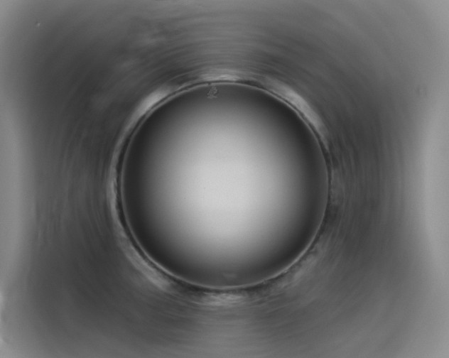 X0000114531187200910191316