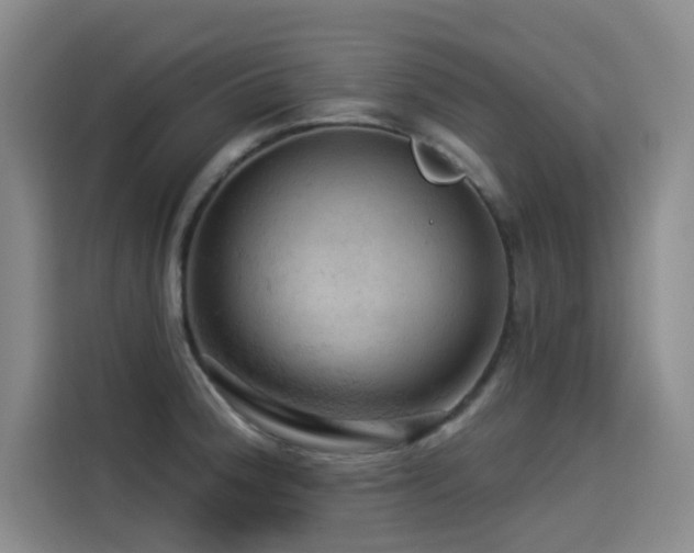X0000114531188200910191316