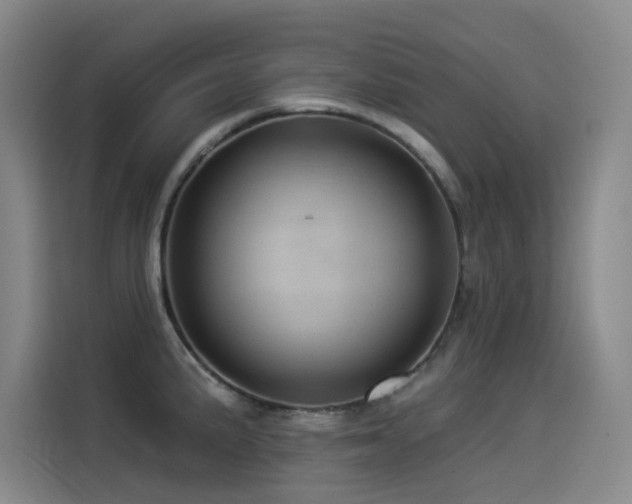 X0000114531191200910191316