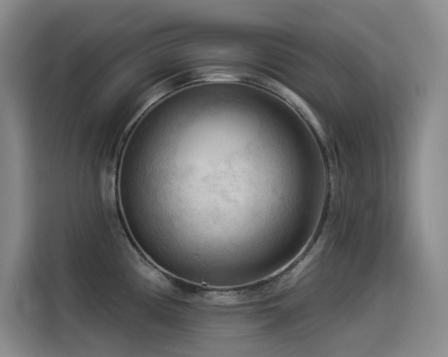 X0000114531194200910191315