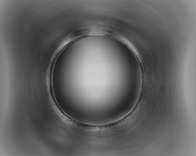 X0000114531195200910191315