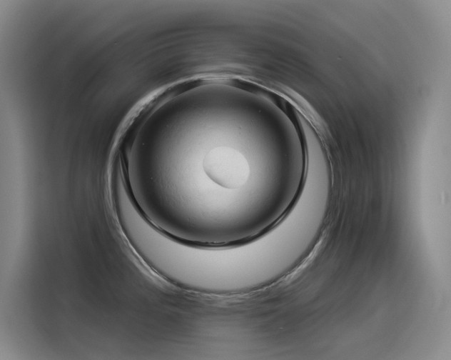 X0000114531196200910191315
