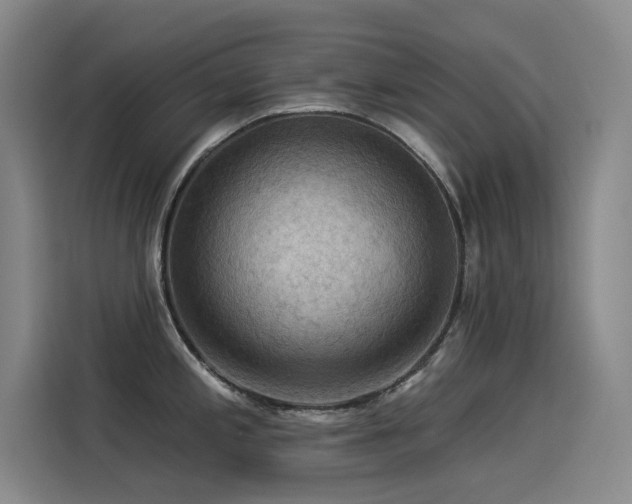 X0000114531197200910191315