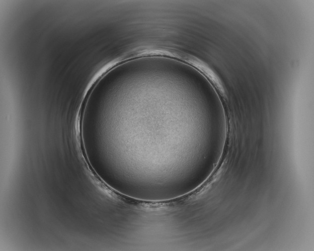 X0000114531198200910191315
