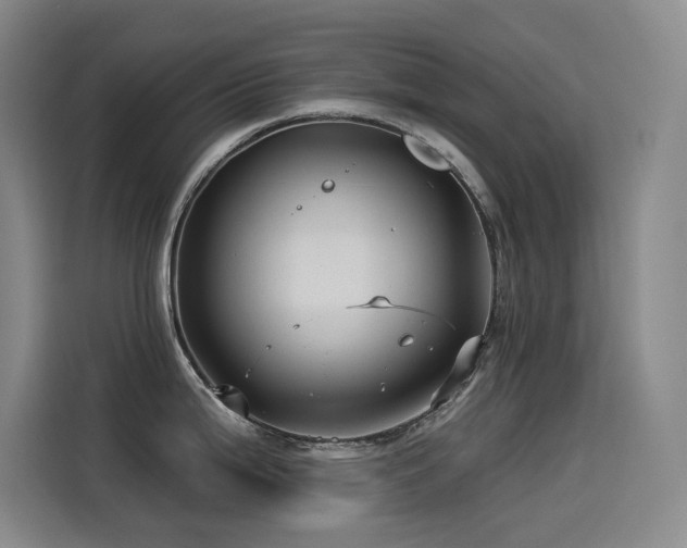 X0000114531199200910191315