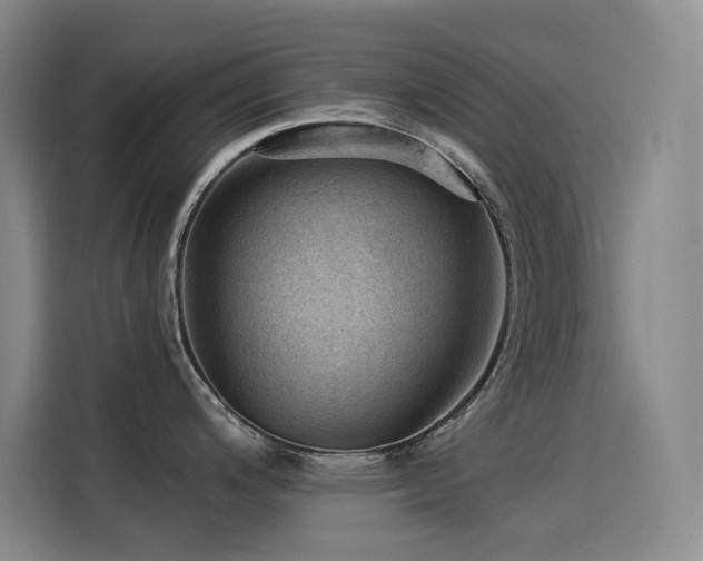 X0000114531200200910191315