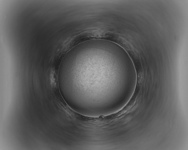 X0000114531202200910191315