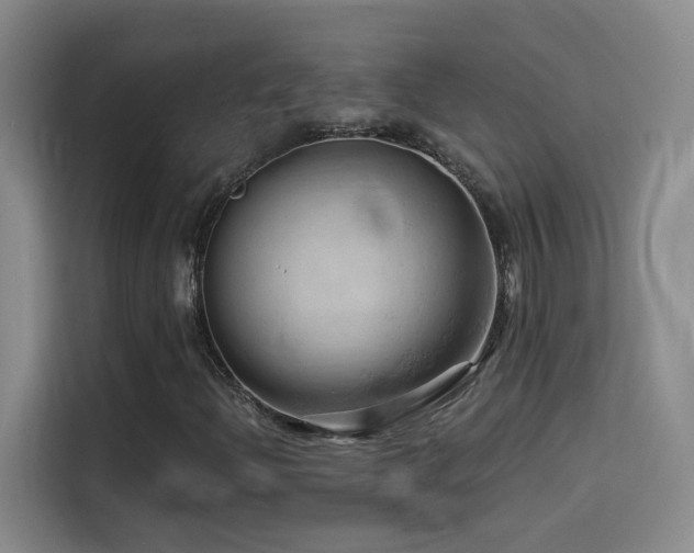 X0000114531204200910191315