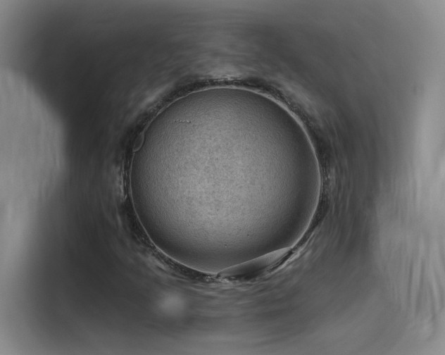 X0000114531205200910191315