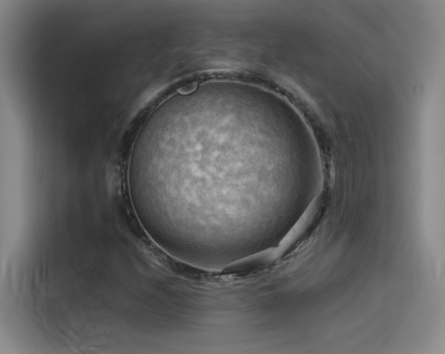 X0000114531208200910191315