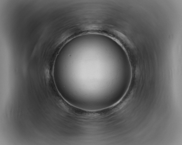X0000114531209200910191315