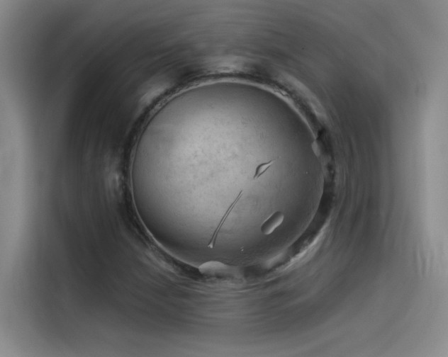 X0000114531210200910191315