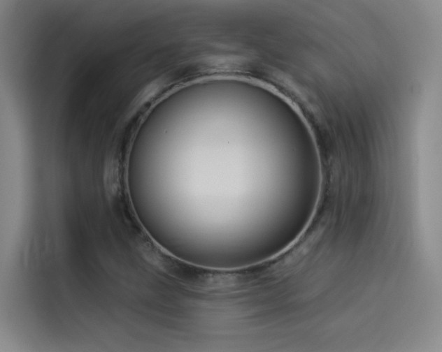 X0000114531211200910191315