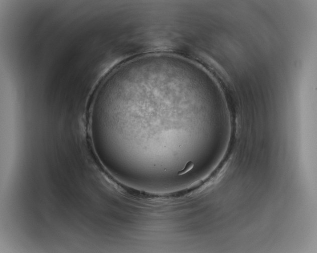 X0000114531212200910191315