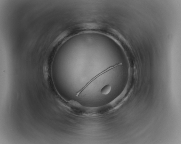 X0000114531213200910191315