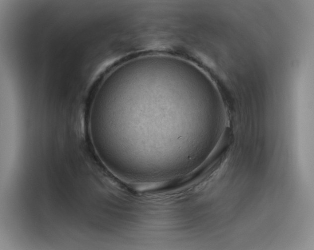 X0000114531214200910191315