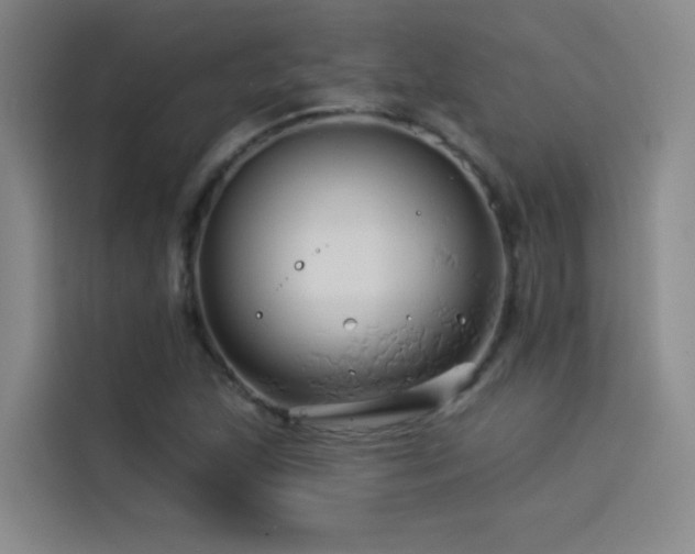 X0000114531215200910191315