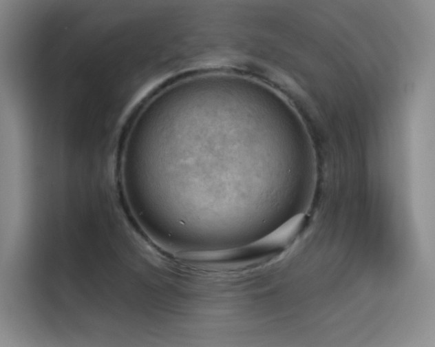 X0000114531216200910191315