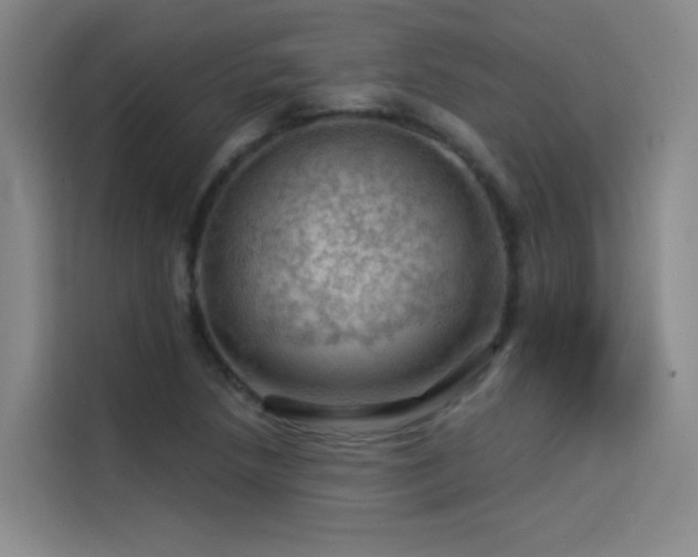 X0000114531218200910191315