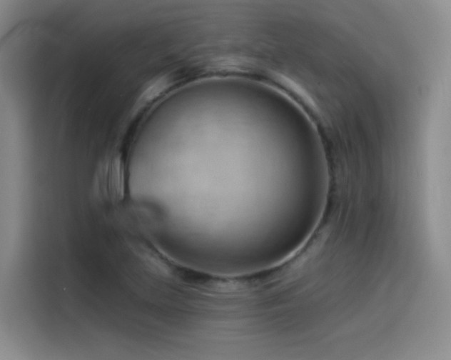 X0000114531219200910191315