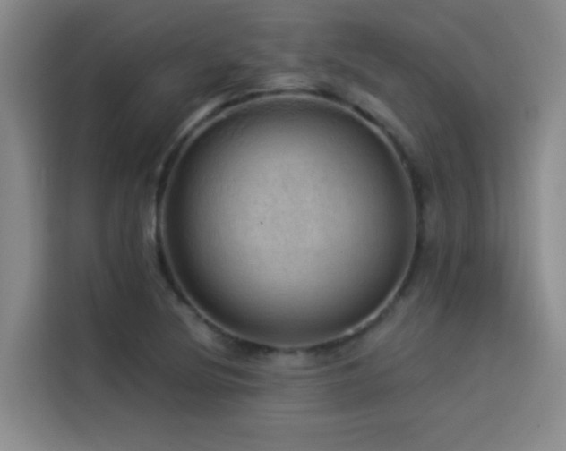 X0000114531220200910191315