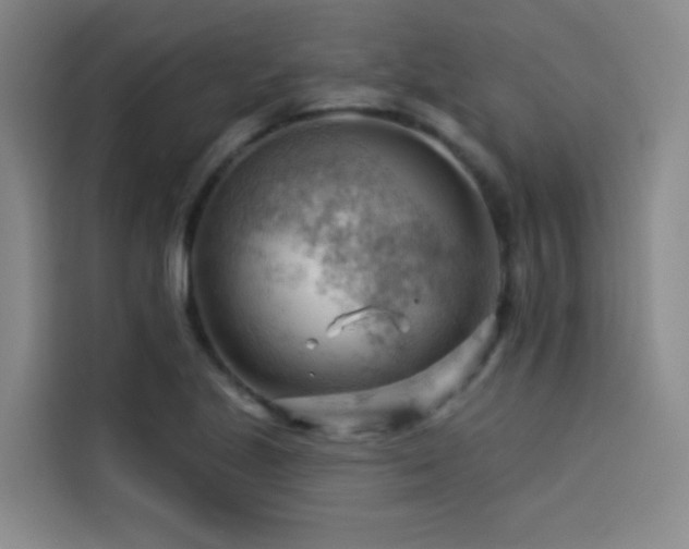X0000114531221200910191315
