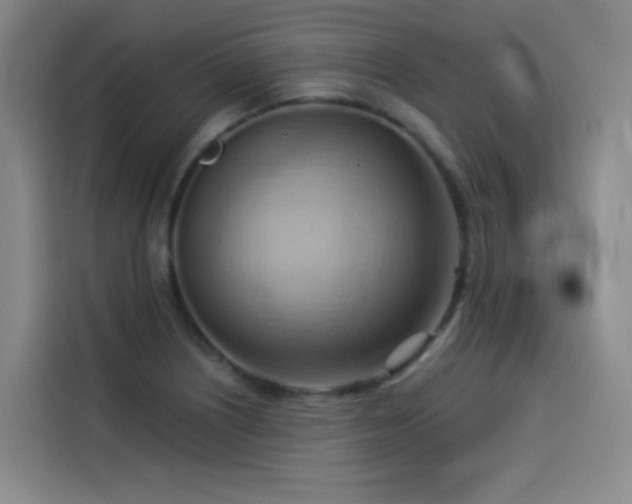 X0000114531226200910191315