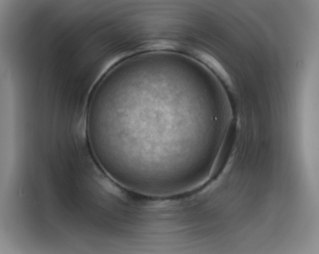 X0000114531228200910191315
