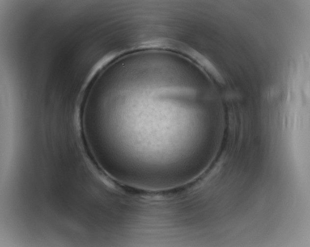 X0000114531230200910191315