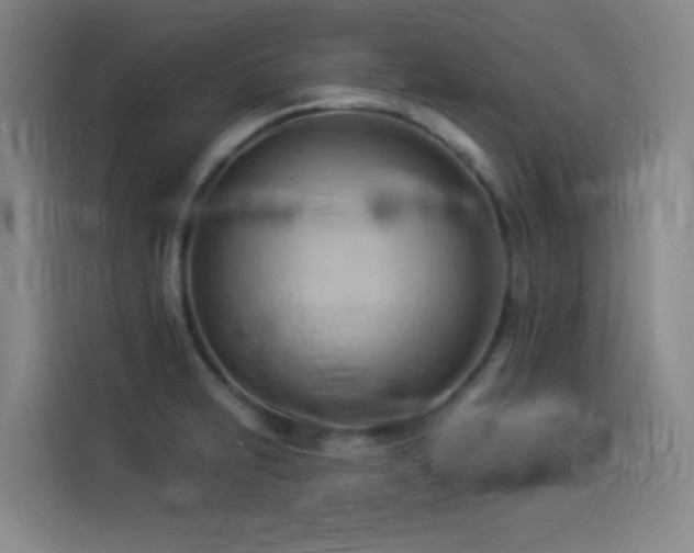 X0000114531231200910191315