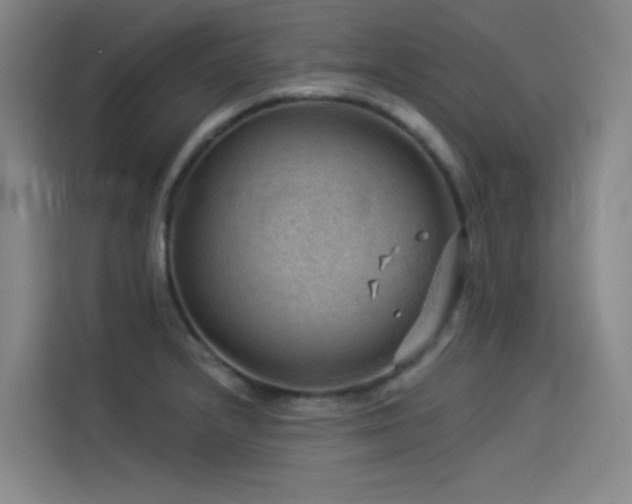 X0000114531232200910191315