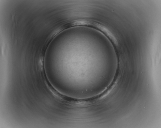 X0000114531233200910191315