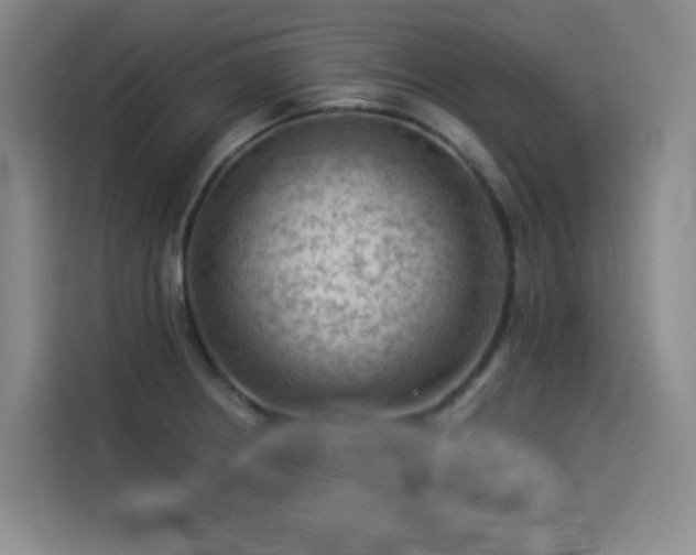 X0000114531234200910191315
