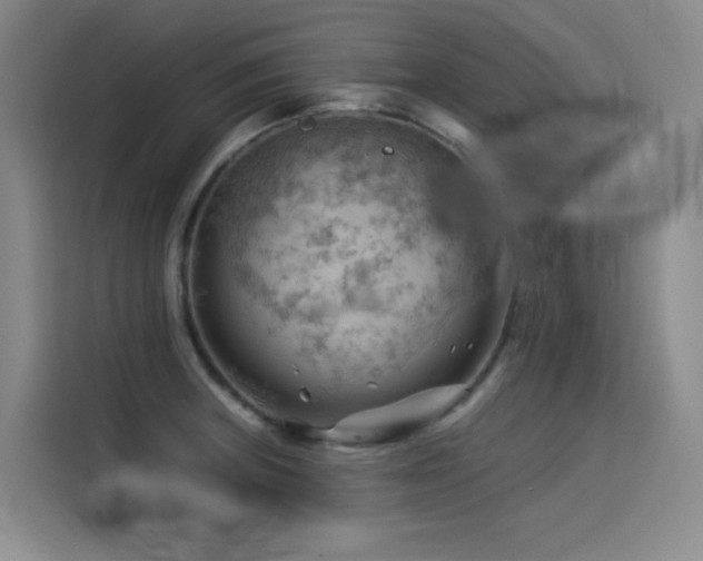 X0000114531235200910191315