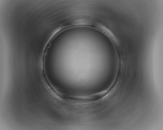X0000114531236200910191315