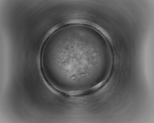 X0000114531237200910191315