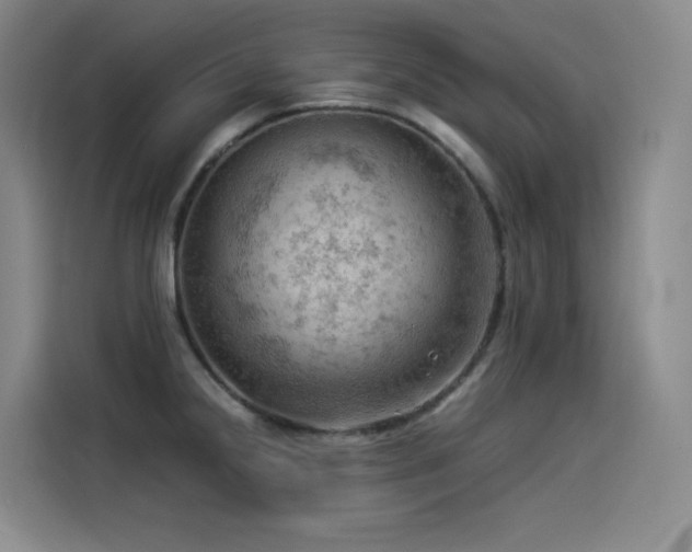 X0000114531238200910191315