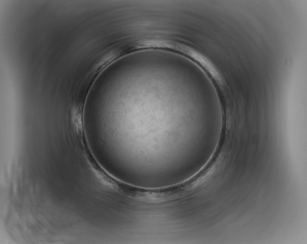 X0000114531241200910191315