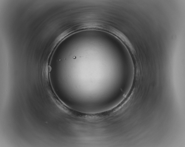 X0000114531242200910191315