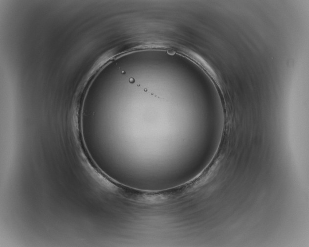 X0000114531243200910191315