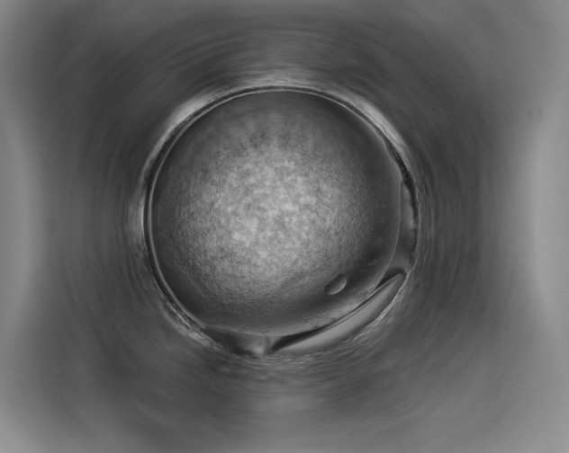 X0000114531246200910191315