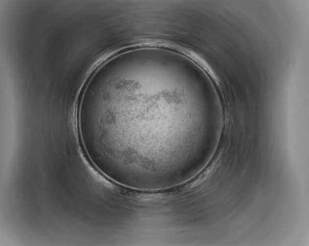 X0000114531247200910191315