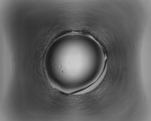 X0000114531249200910191315