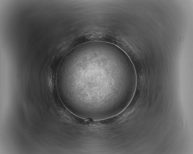 X0000114531250200910191315