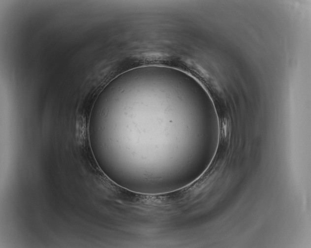 X0000114531251200910191315