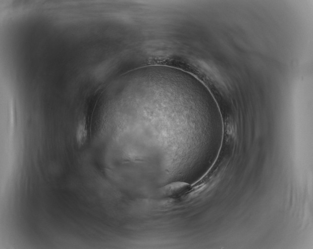 X0000114531252200910191315