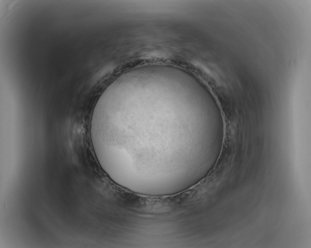 X0000114531254200910191315