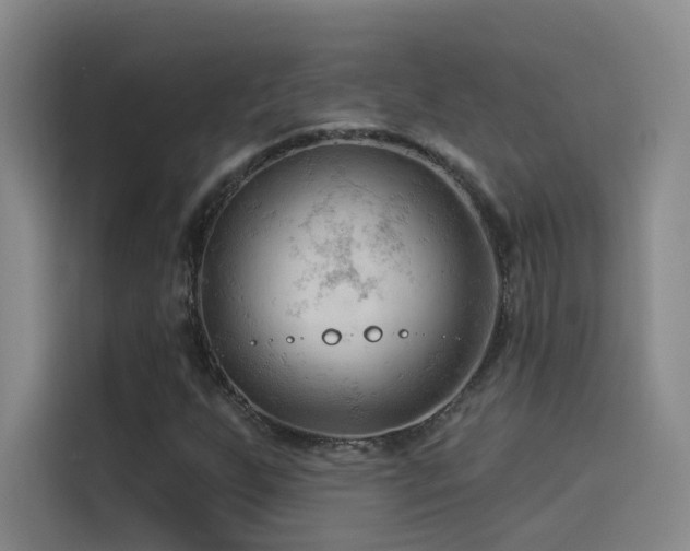 X0000114531255200910191315